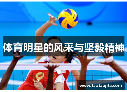 体育明星的风采与坚毅精神